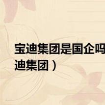 宝迪集团是国企吗（宝迪集团）