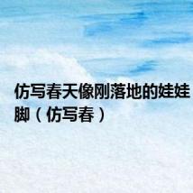 仿写春天像刚落地的娃娃 从头到脚(仿写春)