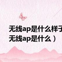 无线ap是什么样子的(无线ap是什么)