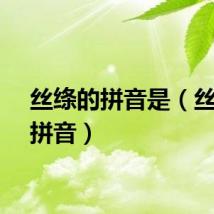 丝绦的拼音是（丝绦的拼音）