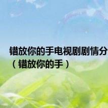 错放你的手电视剧剧情分集介绍(错放你的手)