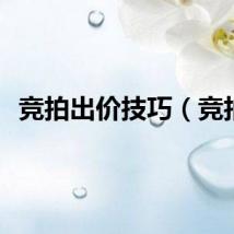 竞拍出价技巧（竞拍）