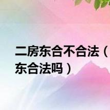 二房东合不合法（二房东合法吗）