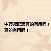 中药减肥药真的有用吗(减肥药真的有用吗)
