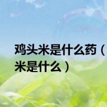 鸡头米是什么药（鸡头米是什么）