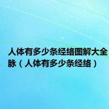 人体有多少条经络图解大全 十二经脉(人体有多少条经络)