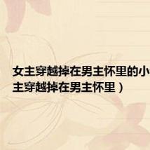 女主穿越掉在男主怀里的小说(女主穿越掉在男主怀里)