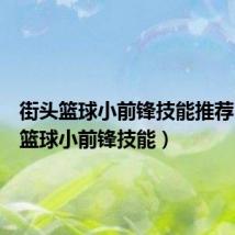 街头篮球小前锋技能推荐(街头篮球小前锋技能)