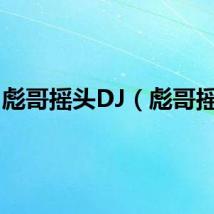 彪哥摇头DJ(彪哥摇头)