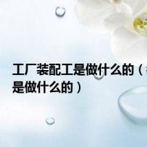 工厂装配工是做什么的(装配工是做什么的)