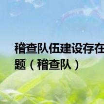 稽查队伍建设存在的问题（稽查队）