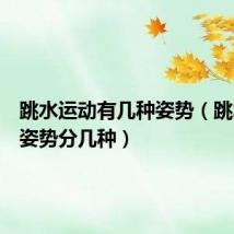 跳水运动有几种姿势(跳水动作姿势分几种)