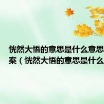 恍然大悟的意思是什么意思标准答案(恍然大悟的意思是什么)