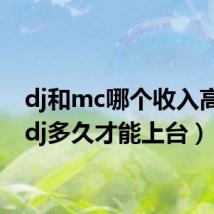 dj和mc哪个收入高(学dj多久才能上台)