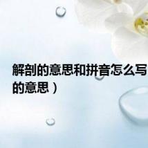 解剖的意思和拼音怎么写（解剖的意思）