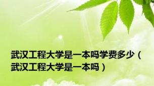 武汉工程大学是一本吗学费多少（武汉工程大学是一本吗）