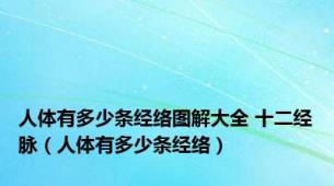 人体有多少条经络图解大全 十二经脉（人体有多少条经络）