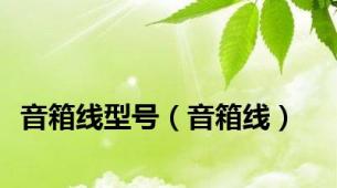 音箱线型号（音箱线）