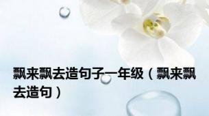 飘来飘去造句子一年级（飘来飘去造句）