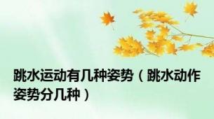 跳水运动有几种姿势（跳水动作姿势分几种）
