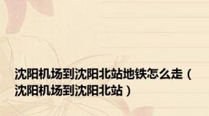 沈阳机场到沈阳北站地铁怎么走（沈阳机场到沈阳北站）