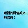 短暂的爱情英文（短暂的爱情）