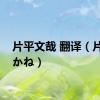 片平文哉 翻译（片平あかね）