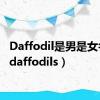 Daffodil是男是女名字（daffodils）