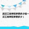 武汉工商学院学费多少钱一年（武汉工商学院学费多少）