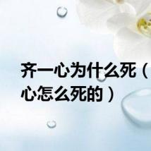 齐一心为什么死（齐一心怎么死的）
