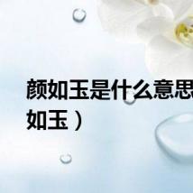颜如玉是什么意思（颜如玉）