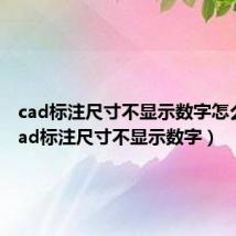 cad标注尺寸不显示数字怎么办(cad标注尺寸不显示数字)