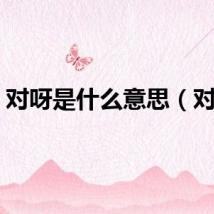 对呀是什么意思（对呀）