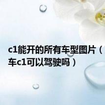 c1能开的所有车型图片(蓝牌货车c1可以驾驶吗)