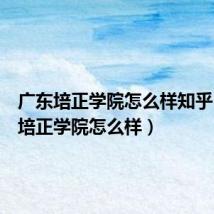 广东培正学院怎么样知乎(广东培正学院怎么样)