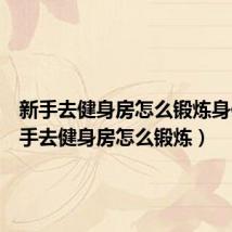 新手去健身房怎么锻炼身体(新手去健身房怎么锻炼)
