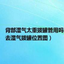 背部湿气太重拔罐管用吗(背部去湿气拔罐位置图)