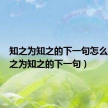 知之为知之的下一句怎么接(知之为知之的下一句)