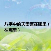 八字中的夫妻宫在哪里(夫妻宫在哪里)