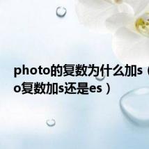 photo的复数为什么加s(photo复数加s还是es)