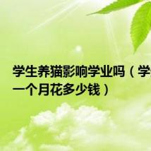 学生养猫影响学业吗(学生养猫一个月花多少钱)