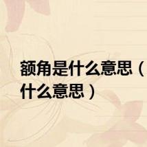 额角是什么意思（额是什么意思）