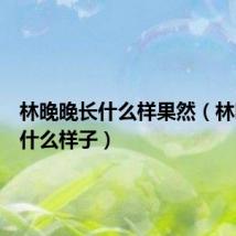 林晚晚长什么样果然(林晚晚长什么样子)