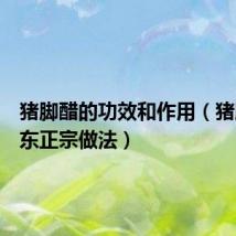 猪脚醋的功效和作用(猪脚醋广东正宗做法)