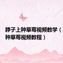 脖子上种草莓视频教学(脖子上种草莓视频教程)