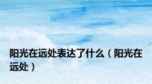 阳光在远处表达了什么（阳光在远处）