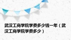 武汉工商学院学费多少钱一年（武汉工商学院学费多少）