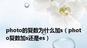 photo的复数为什么加s（photo复数加s还是es）