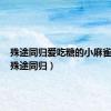 殊途同归爱吃糖的小麻雀小说（殊途同归）