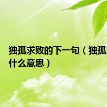 独孤求败的下一句(独孤求败是什么意思)